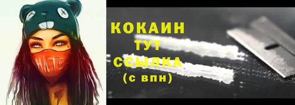 прущий лед Горняк