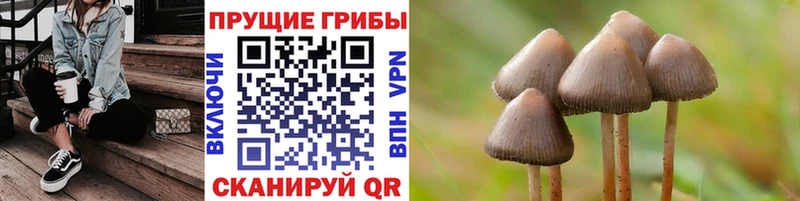 наркотики  Приволжский  Псилоцибиновые грибы MAGIC MUSHROOMS 